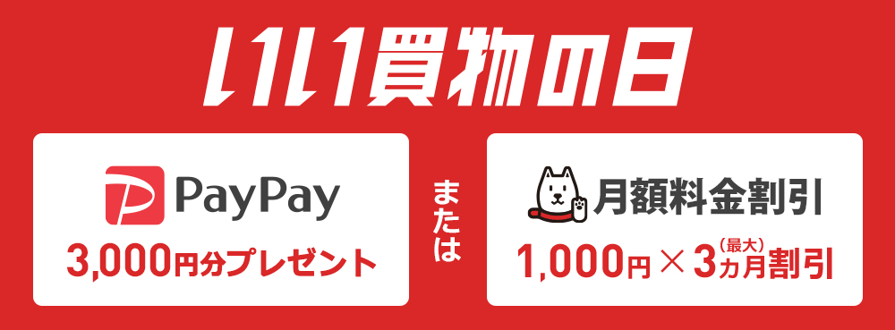 いい買物の日2019 PayPayキャンペーン