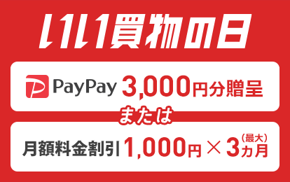 いい買物の日2019 PayPayキャンペーン